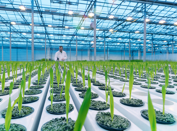 Biotech_main-qimg-56fb9caf2291a15596a6c4bee3f321b5